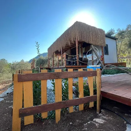Lovin Goecek Tiny House Butterfly Chalet