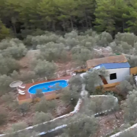 Lovin Goecek Tiny House Butterfly Chalet